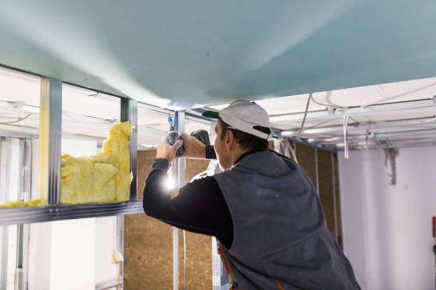 Best Insulation for Specific Applications in Walls, MS