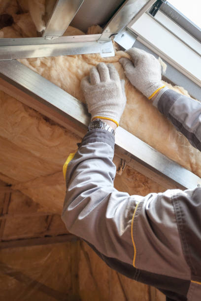 Best Insulation for Specific Applications in Walls, MS