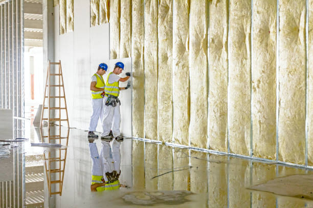 Best Insulation Installation Services in Walls, MS